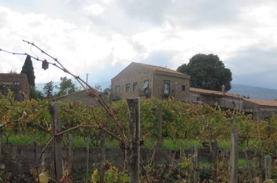 TENUTA DIFESSINA Sicily