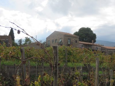 TENUTA DIFESSINA Sicily